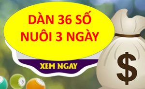 Dàn 36 số nuôi 3 ngày