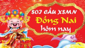 dự đoán xsdn