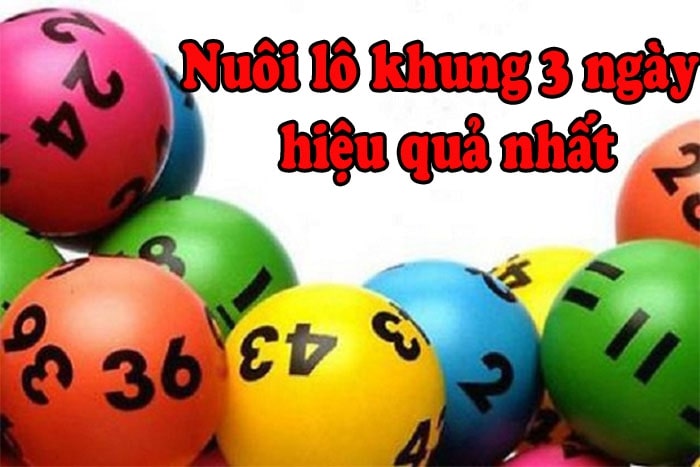 Cách phân bố vốn nuôi lô 3 ngày hiệu quả Cách phân bố vốn nuôi lô 3 ngày hiệu quả