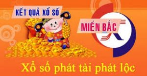 Dự đoán kết quả 11/1